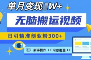 无脑搬运视频号可批量复制，新手即可操作，日引精准创业粉300+，月变现过W 【揭秘】