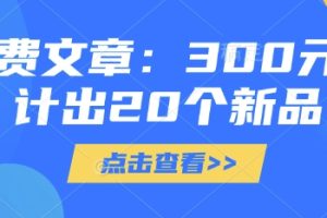 付费文章：300元设计出20个新品