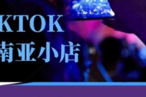Tiktok东南亚跨境小店运营班，一门专业的TK小店运营培训课