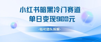 小红书冷门”暗黑”赛道，单日收益多张插图