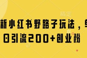 最新小红书野路子玩法，单日引流200+创业粉