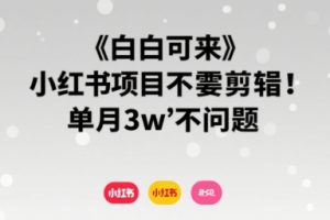 小白可来 小红书项目不需要剪辑 单月3w不是问题
