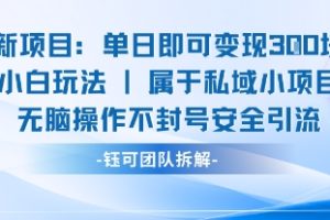 新项目单日即可变现3张的小白玩法无脑操作不封号安全引流
