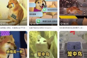 狗头幸运星UE5动画全套课程，从入门到实操全掌握