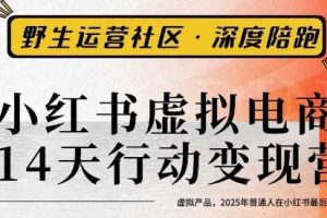 小红书虚拟电商14天变现训练营3.0，虚拟产品，2025年普通人在小红书最后的搞钱机会