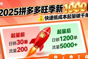 2025拼多多旺季新老店铺——快速低成本起量破千单
