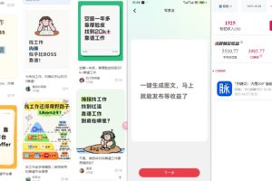 毕业生求职项目拆解_脉脉拉新空白市场，蓝海开局