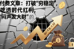 付费文章：打破“穷稳定”，吃透时代红利，“闷声发大财”的终极真谛